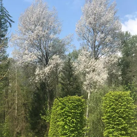 Glutschaufel Hotel Eschenbach in der Oberpfalz