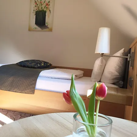 Glutschaufel Hotel 3*